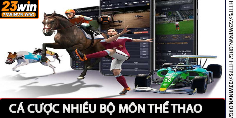 Nhiều bộ môn thể thao cho anh em cá cược