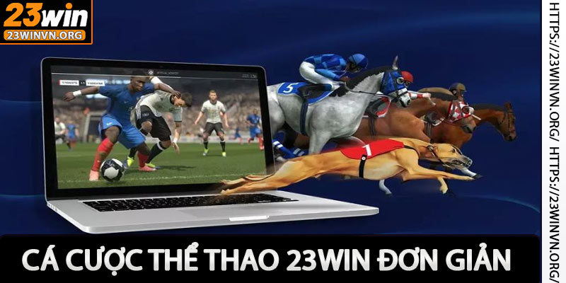 Cá cược thể thao 23win đơn giản